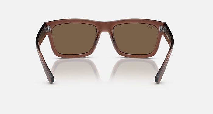 WARREN BIO-BASED Sunglasses in Transparent Brown and Dark Brown