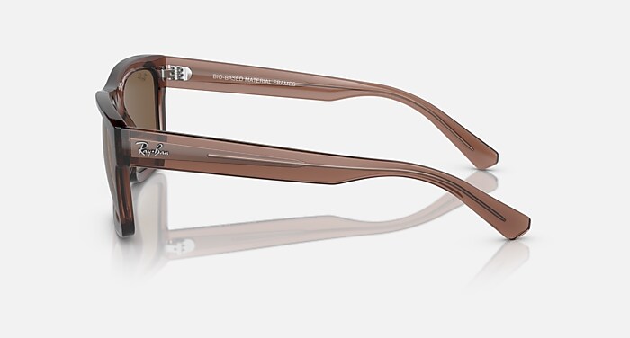 WARREN BIO-BASED Sunglasses in Transparent Brown and Dark Brown