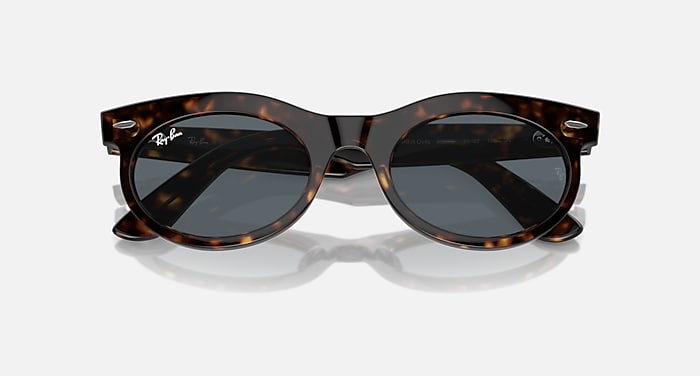 Ray-Ban Sunglasses Wayfarer Oval Striped Havana Frame Blue Lenses