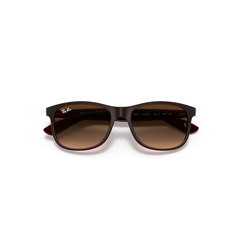 Ray-Ban Andy Sunglasses Brown Frame Brown Lenses 55-17