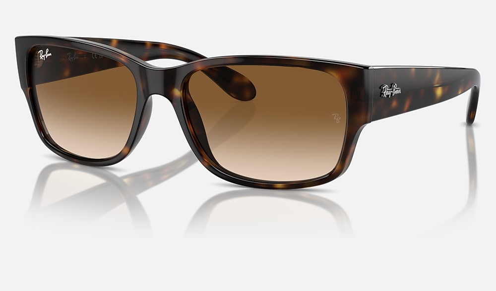 レイバン レイバン公式ストア】 Ray-Ban® RB4388 サングラス | ハバナ X