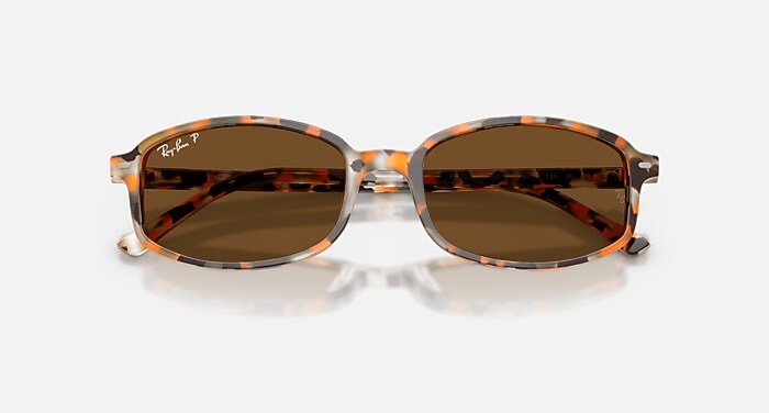 SAM Sunglasses in Havana Brown Grey and Brown Polarized - RB2232