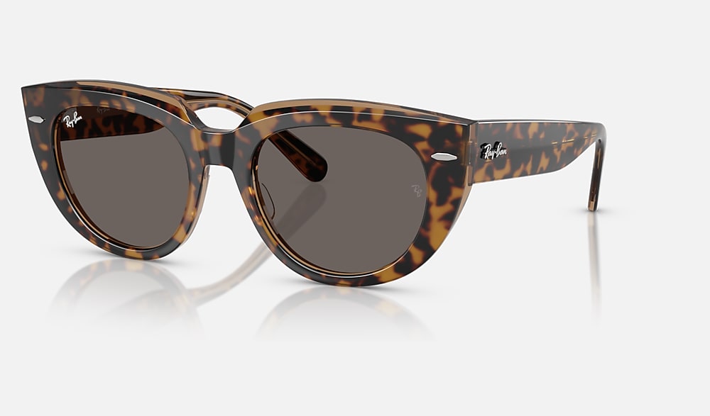 DOREEN Sunglasses in Havana On Transparent Brown and Dark