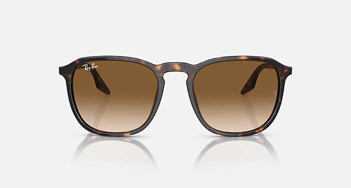 RB2203 Sunglasses in Havana and Light Brown - RB2203 | Ray