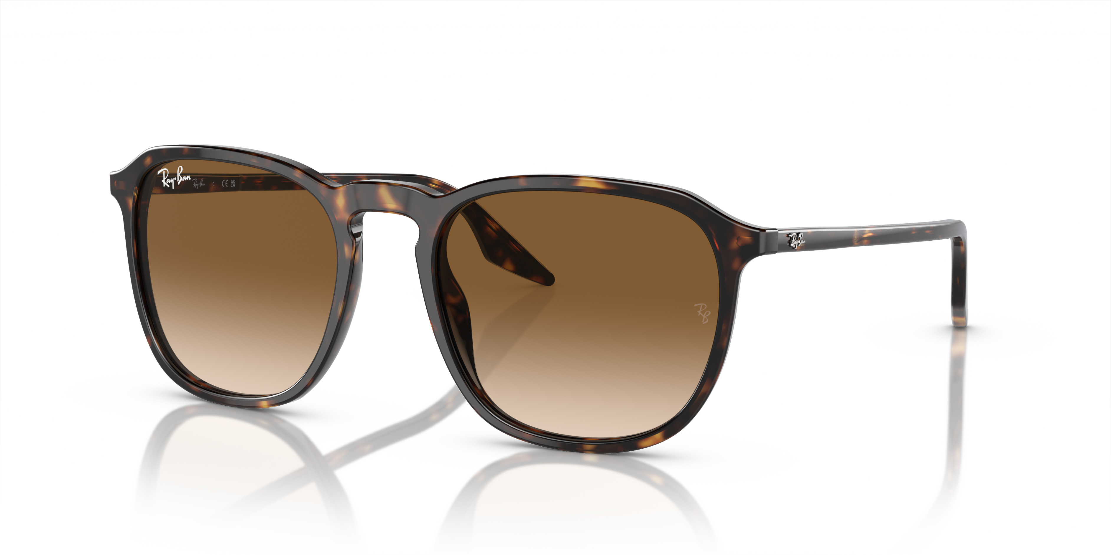 RB2203 Polished Havana Frame Light Brown Lenses 52-20