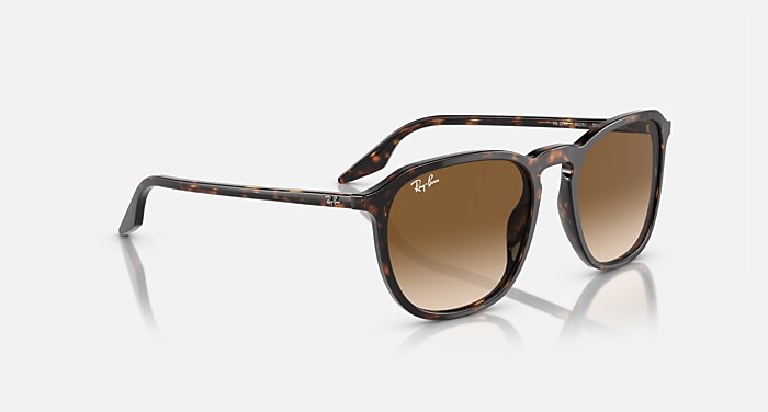 楽天市場】レイバン サングラス RB2203F 902/51 55mm Ray-Ban