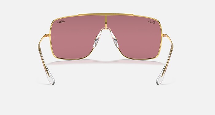 WINGS II LEGEND LOGO Sunglasses in Gold and Pink Classic