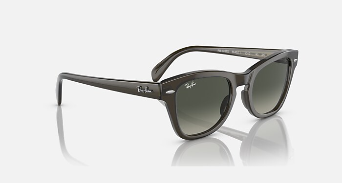 RB0707S Sunglasses in Transparent Olive Green and Grey