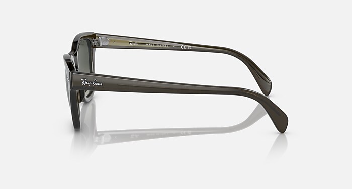 RB0707S Sunglasses in Transparent Olive Green and Grey