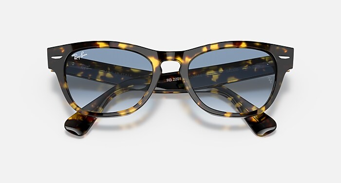 Ray-Ban ララミー RB2201 RAY-BAN Laramie Sunglasses - RB2201 | eBay