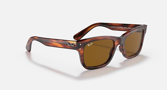 レイバン公式ストア】 Ray-Ban® BURBANK サングラス | ハバナ X