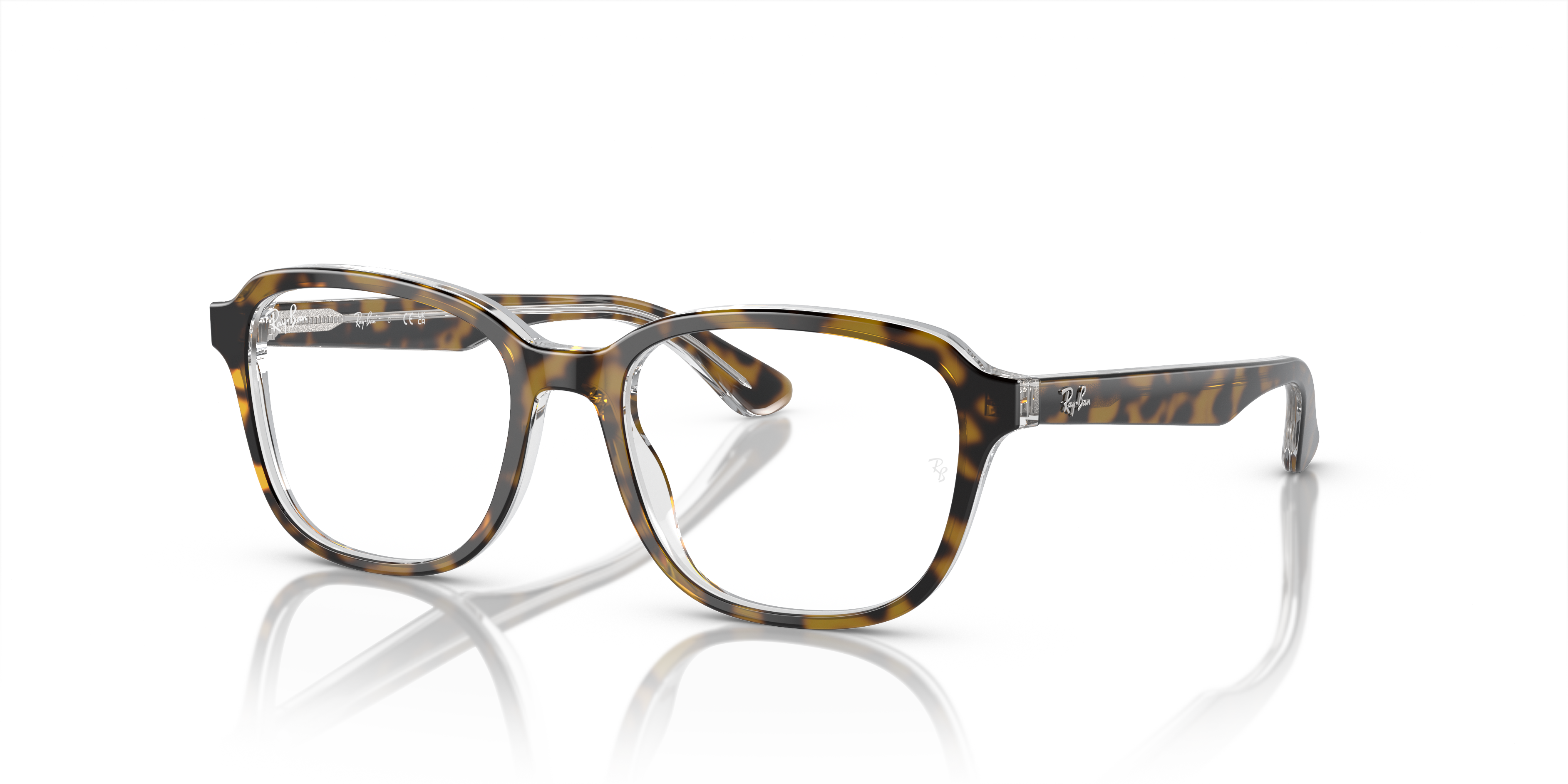 RB1627 OPTICS KIDS Polished Havana On Transparent Frame Clear Lenses 46-16
