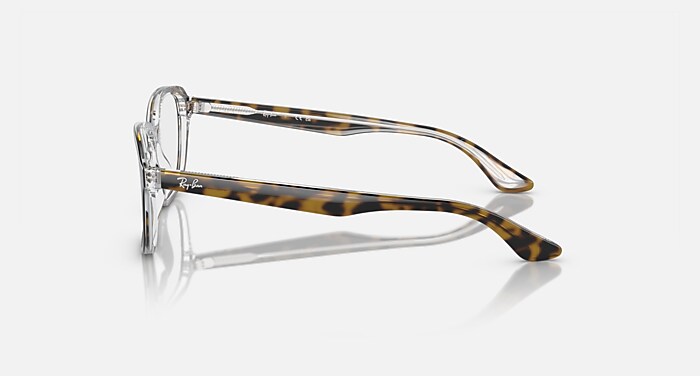 RB1627 OPTICS KIDS Eyeglasses with Havana On Transparent