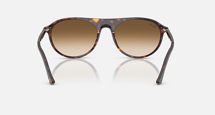 Ray-Ban Sunglasses Unisex Rb2215 - Havana Frame Brown Lenses 59-20