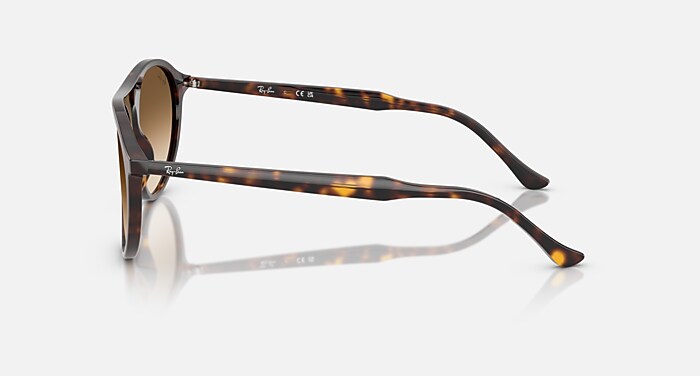 Ray-Ban Sunglasses Unisex Rb2215 - Havana Frame Brown Lenses 59-20