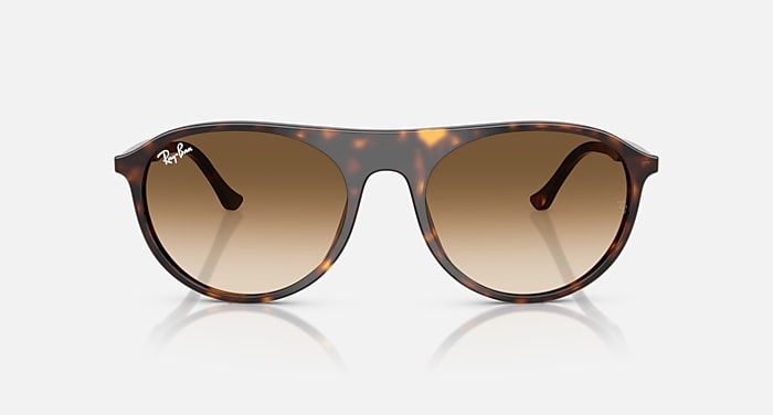 Ray-Ban Sunglasses Unisex Rb2215 - Havana Frame Brown Lenses 59-20