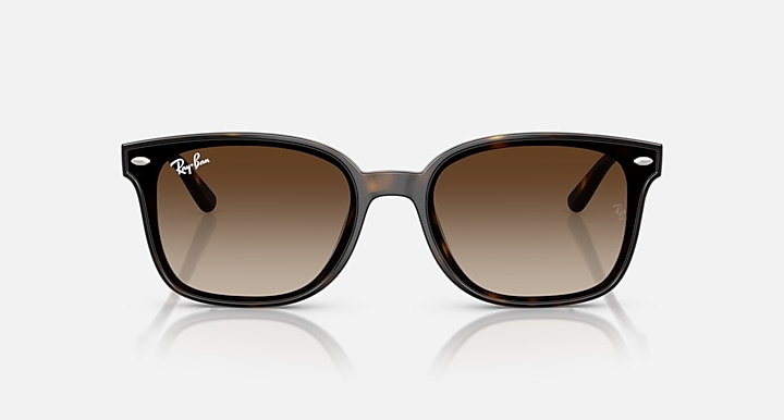 Ray-Ban Rb4461d Sunglasses Havana Frame Brown Lenses 64-17