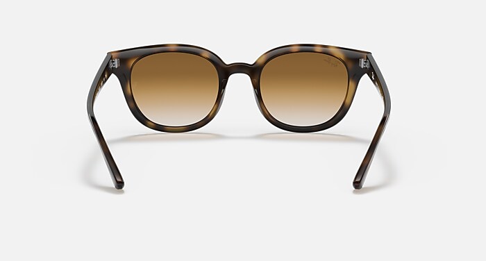 レアRayBanレイバン　RB4324-F 710/51 清光堂 レイバンサングラス RB4324F 710/51 [送料無料]