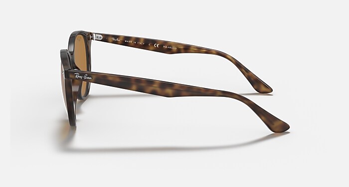 レイバン公式ストア】 Ray-Ban® RB4305 サングラス | ライトハバナ X B  