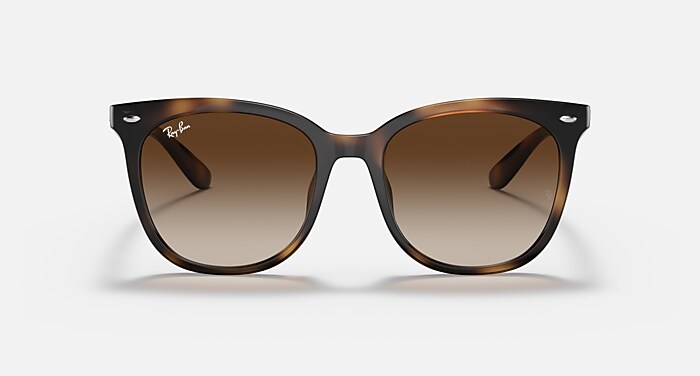 レイバン公式ストア】 Ray-Ban® RB4379D サングラス | ハバナ X 諧調 