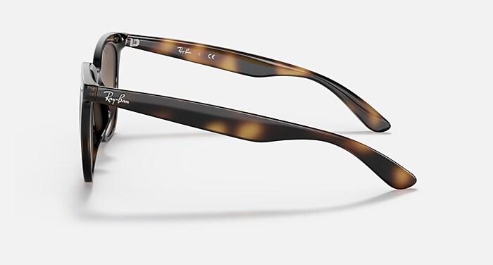 レイバン公式ストア】 Ray-Ban® RB4379D サングラス | ハバナ X 諧調 