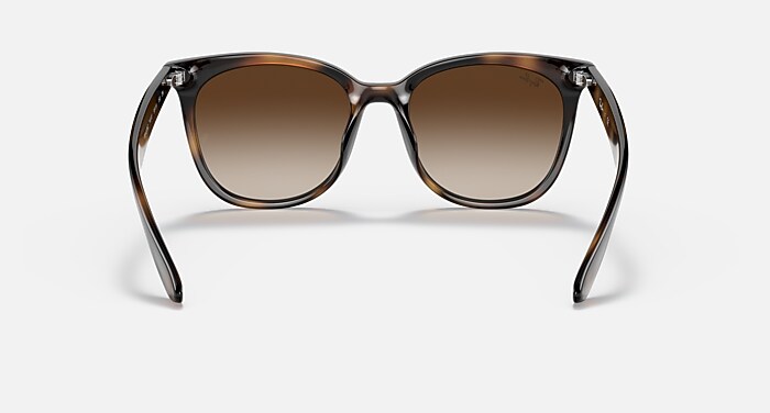 レイバン公式ストア】 Ray-Ban® RB4379D サングラス | ハバナ X 諧調 