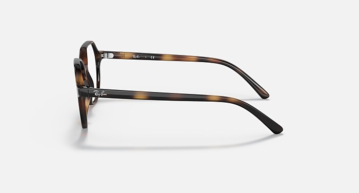 THALIA OPTICS KIDS Eyeglasses with Havana Frame - RY9095V | Ray