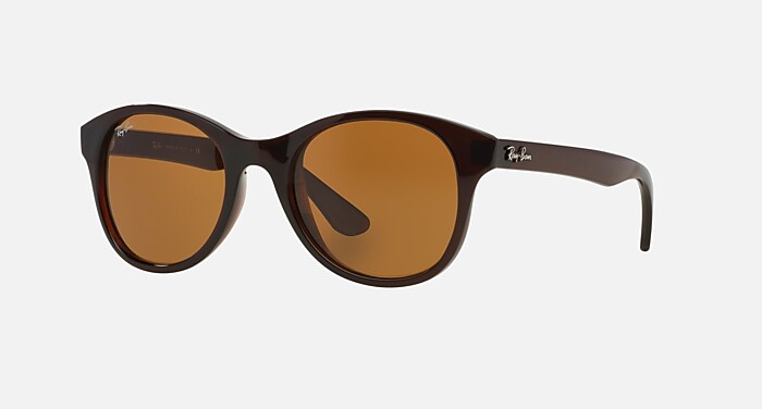 RB4203 Sunglasses in Brown and B-15 Brown - RB4203 | Ray-Ban® display picture 1