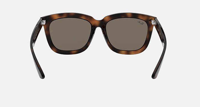 LAY ZHANG CAPSULE RB4262D Sunglasses in Havana and Gold Mirror