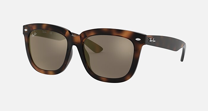 高い品質 Sunglasses RB4262D CAPSULE ZHANG LAY in Gold and Havana 小物