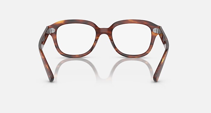 Ray-Ban Eyeglasses Unisex Erik Optics Prescription - Striped Havana Frame Clear Lenses 49-19 Polarized