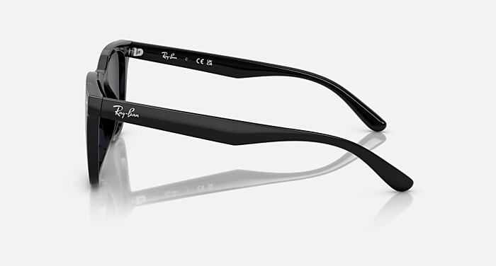 レイバン公式ストア】 Ray-Ban® RB4391D サングラス | ブラック X 
