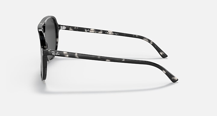 Ray-Ban 0RB2198 BILL 抛光 灰色哈瓦那 SUN_Lateral