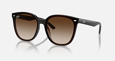 レイバン公式ストア】 Ray-Ban® RB4423D サングラス 