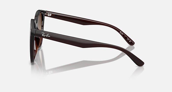 Ray-Ban Sunglasses Unisex Rb4423d - Transparent Brown Frame Brown Lenses 66-15