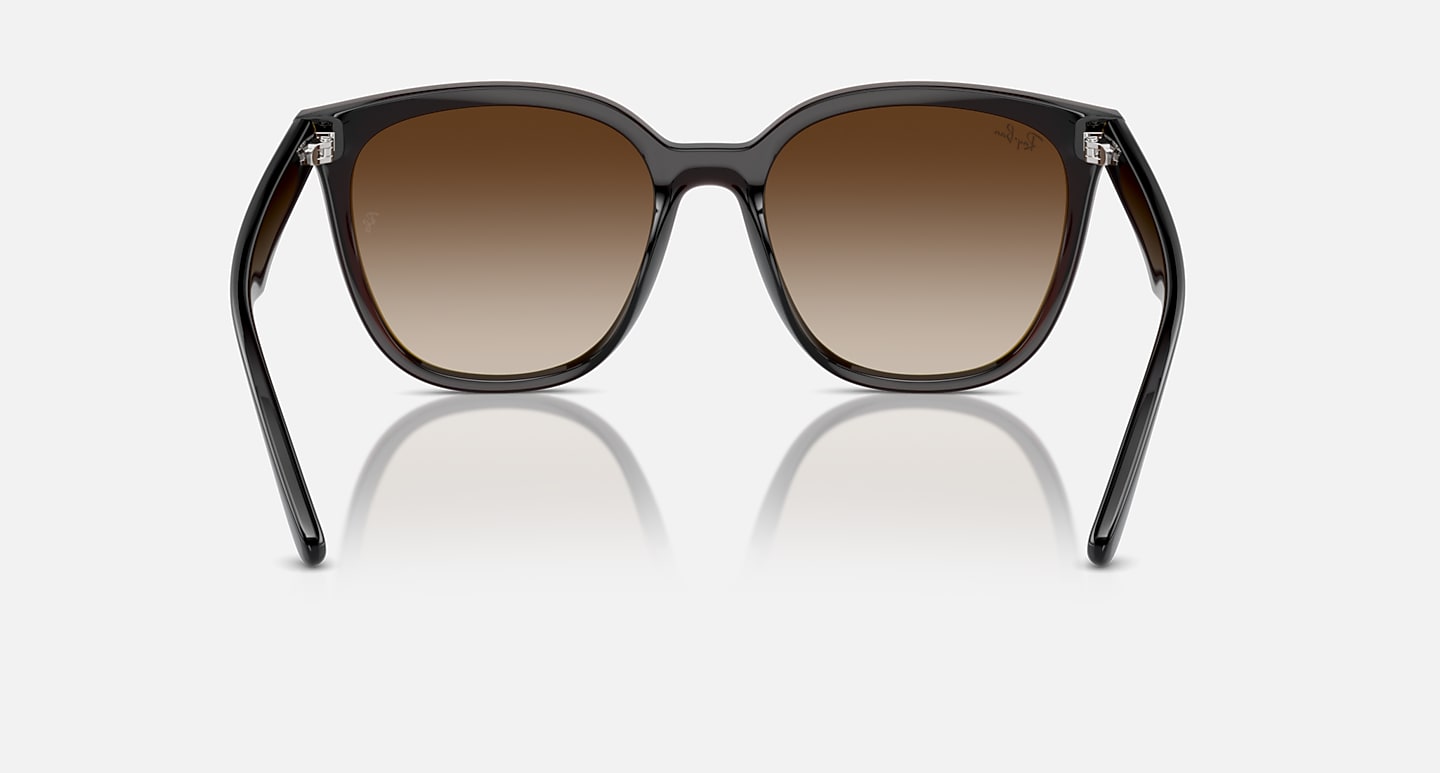 Ray-Ban Sunglasses Unisex Rb4423d - Transparent Brown Frame Brown Lenses 66-15