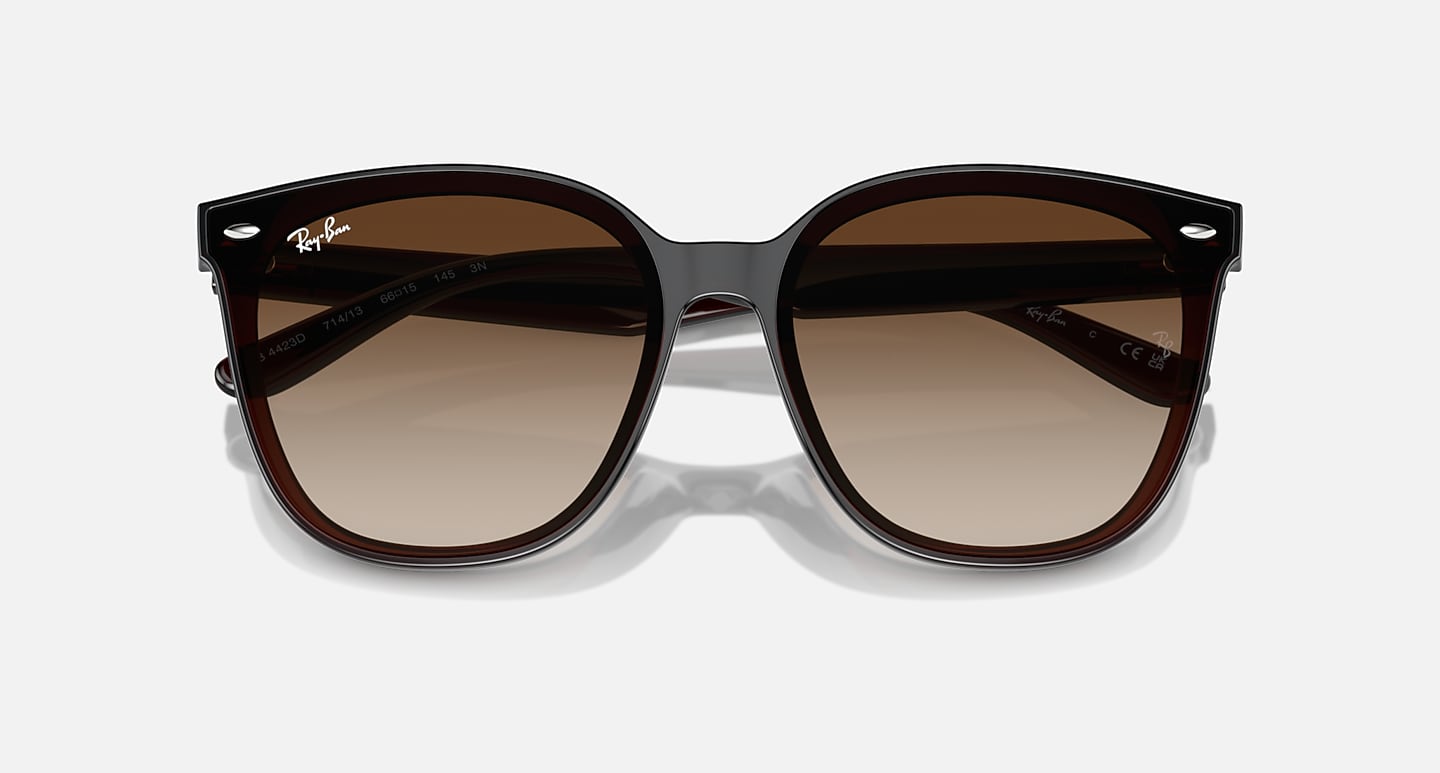 Ray-Ban Sunglasses Unisex Rb4423d - Transparent Brown Frame Brown Lenses 66-15