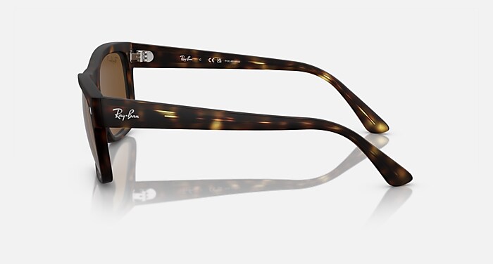RB4428 Sunglasses in Havana and Brown - RB4428 | Ray-Ban® US