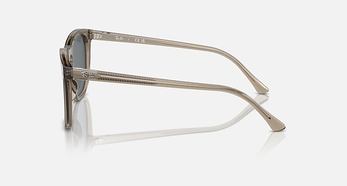 RB2210 Sunglasses in Transparent Brown and Blue - RB2210