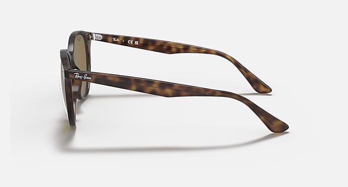 Ray-Ban Sunglasses Unisex Rb4305 - Tortoise Frame Brown Lenses 53-19