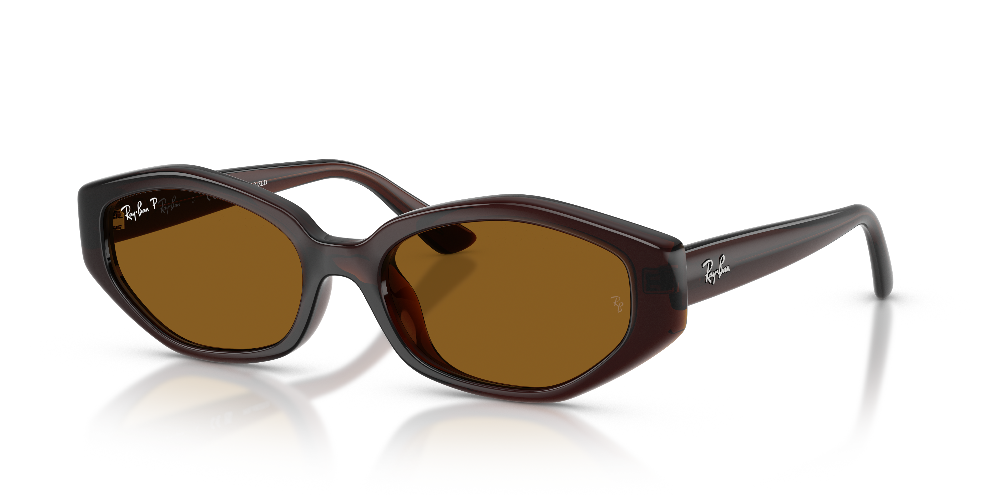 Ray-Ban サングラス　RB4433D RB4473D Sunglasses in Dark Brown and Dark Brown Polarized