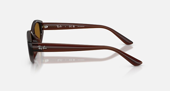 Ray-Ban RB 4177 サングラス ブラウン レイバン公式ストア】 Ray-Ban® RB4473D サングラス | ダークブラウン