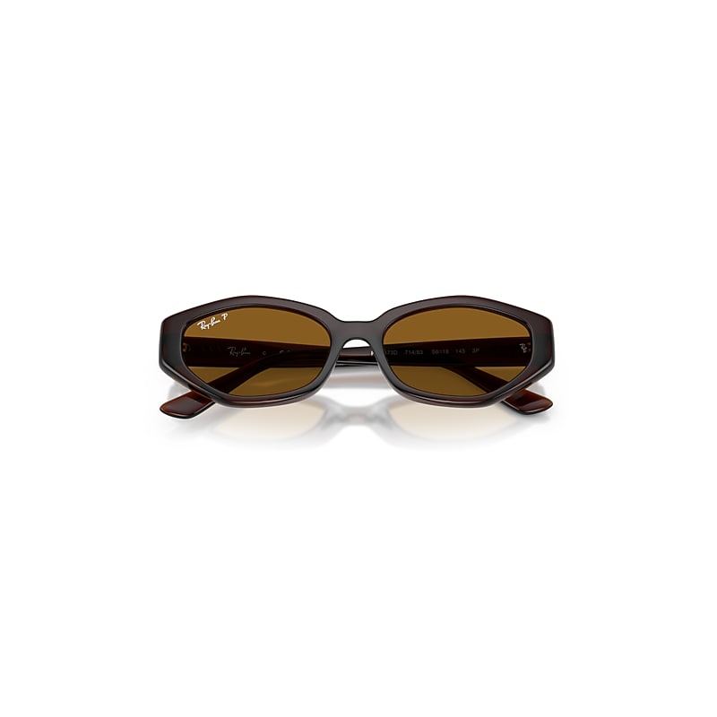 RB4473D Sunglasses in Dark Brown and Dark Brown Polarized