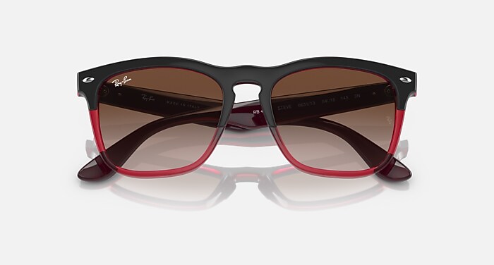 Ray-Ban Steve サングラス ブラック/レッド STEVE Sunglasses in Black and Dark Green - RB4487 | Ray-Ban® US