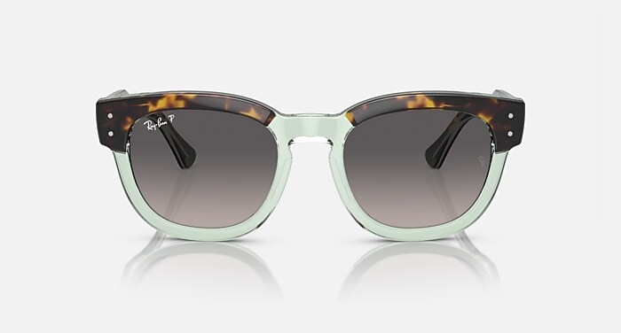 MEGA HAWKEYE Sunglasses in Havana On Transparent Green and 