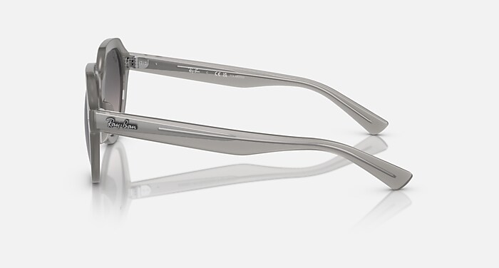 GINA Sunglasses in Opal Grey and Grey Polarized - RB4399F  display picture 1