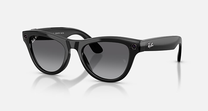 小物 Ray-Ban SUNGLASSES 0RB8067 POLARIZED RB8067 TITANIUM Sunglasses in Black and Green Classic