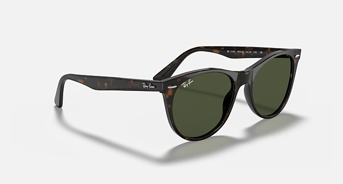 WAYFARER II CLASSIC Sunglasses in Tortoise and G-15 Green  display picture 3