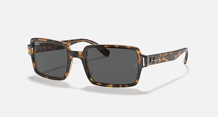 BENJI Sunglasses in Havana On Transparent Brown and Dark