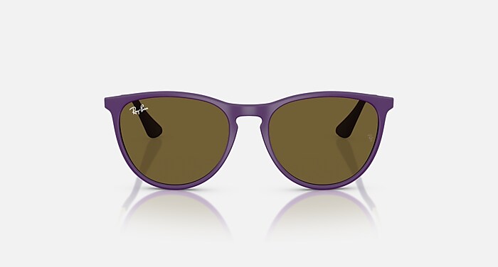 Ray-Ban Erika - Transparent Light Brown Frame - Aj's Ski and